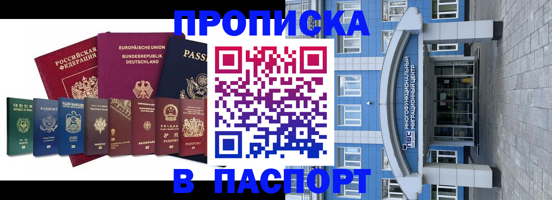 прописка штамп в Лузе